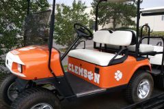 4-passenger electric lifted painted