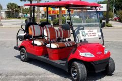 6-passenger LSV electric painted