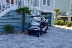 4-passenger gas premium